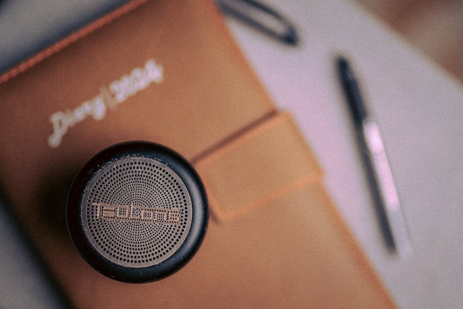 2024’ün En İyi Fotoğraf Galerisi Uygulamaları: Anılarınızı Canlandırın!