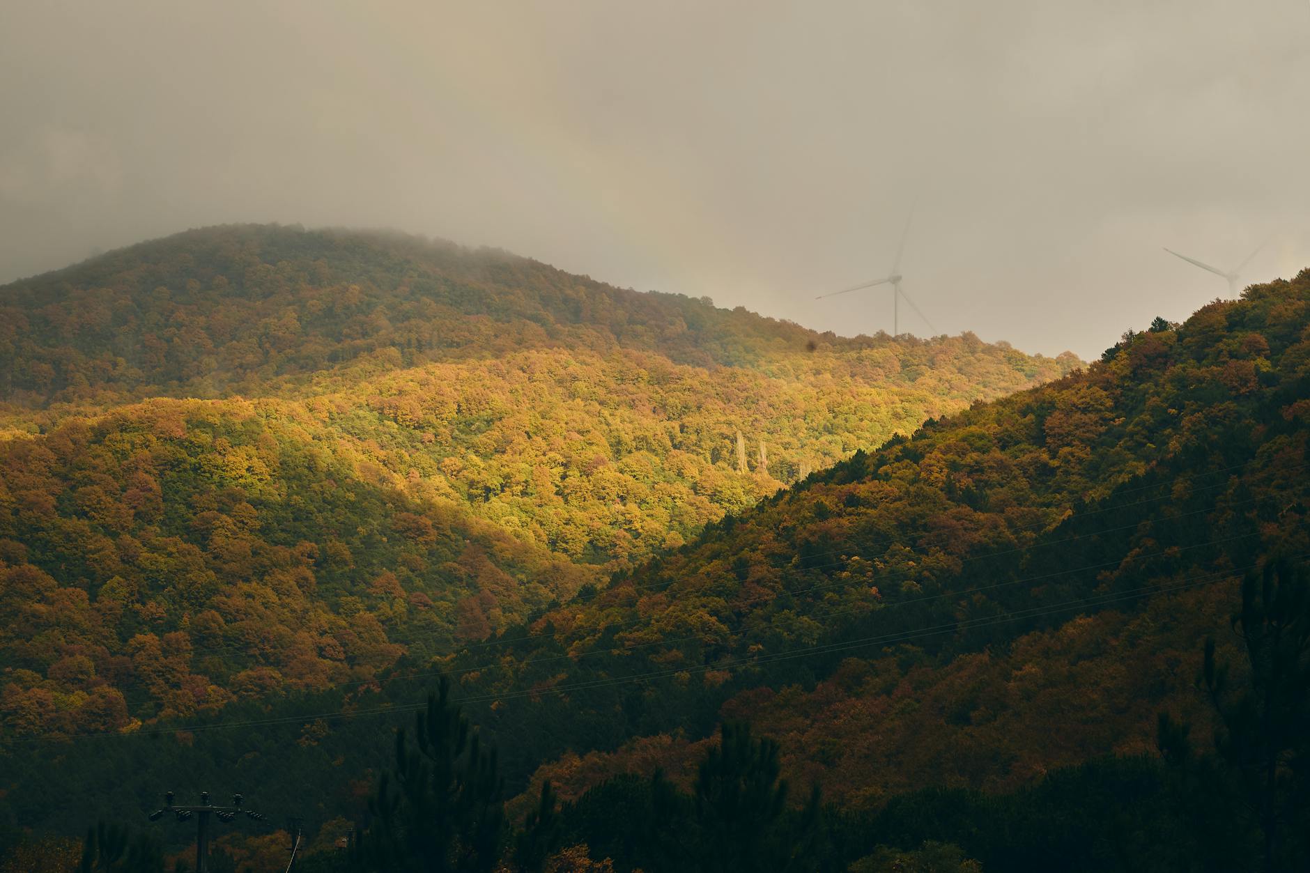 Türkiye’nin Enerji Dönüşümünde Yenilenebilir Kaynakların Rolü