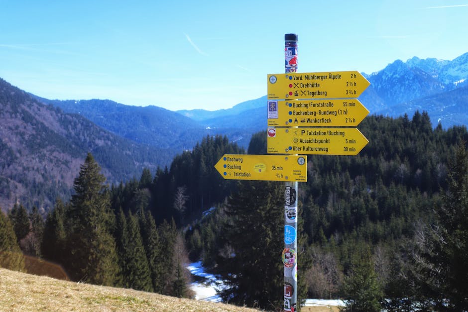 Telefonunuzun Gizli Gücü