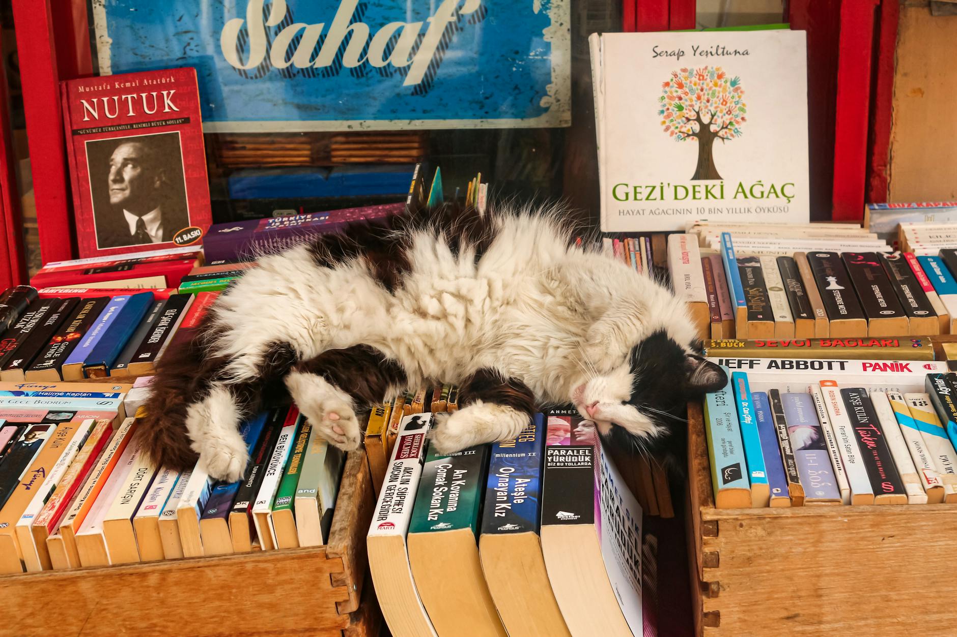 Yapay Zeka Destekli Yazılım Geliştirme: Geleceğin Kodlama Süreci