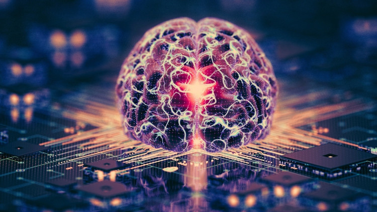 İnsan Beyin Hücrelerinden Güç Alan Bilgisayarlar: Yapay Zekânın Ötesinde Yeni Bir Çağ mı Başlıyor?